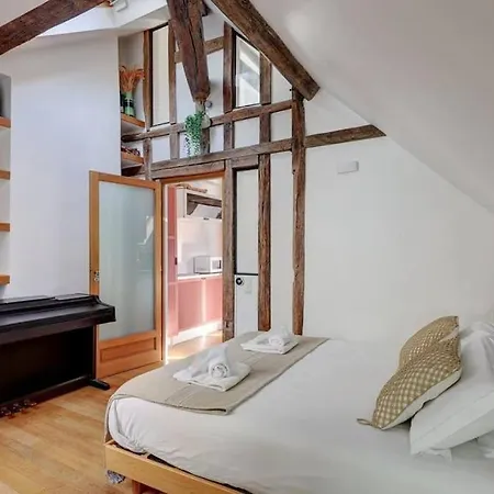 Loft Place Des Vosges *