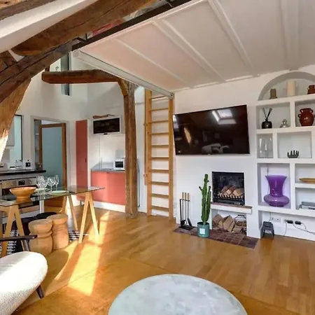 Loft Place Des Vosges Paris