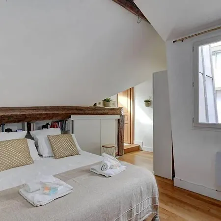 Loft Place Des Vosges Apartment