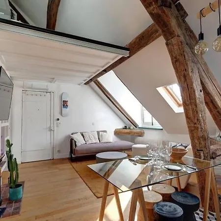 Loft Place Des Vosges *