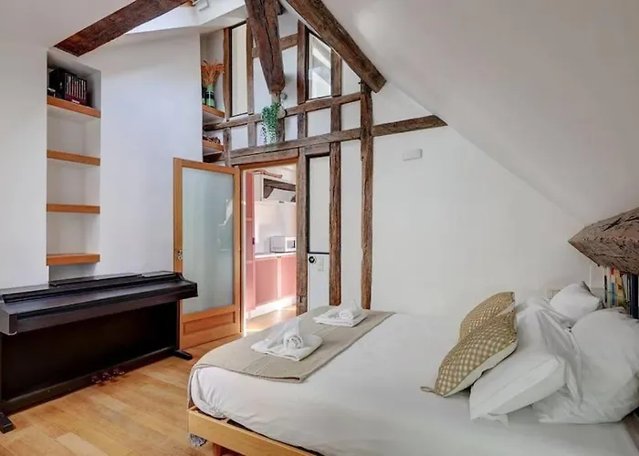 Loft Place Des Vosges *