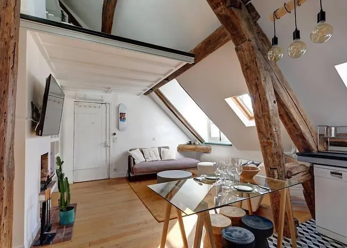 Loft Place Des Vosges *
