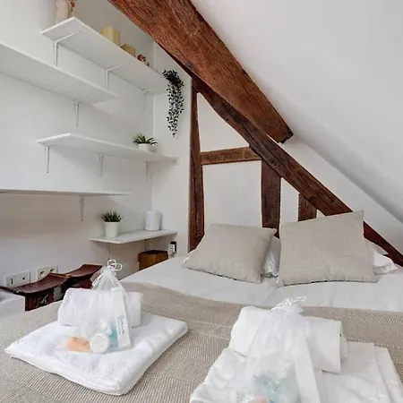 Loft Place Des Vosges Lejlighed Paris