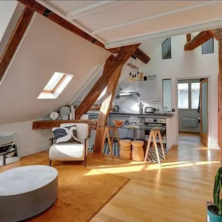 Loft Place Des Vosges Lejlighed Paris