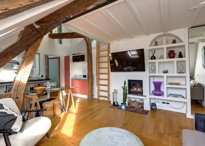 Loft Place Des Vosges Paris